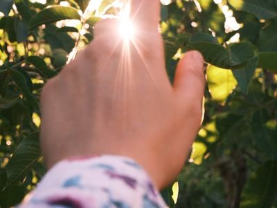 Hands reaching up towards sunlight in a park